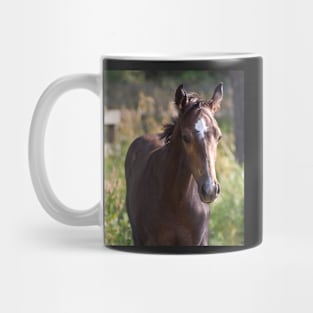 TB COLT Mug